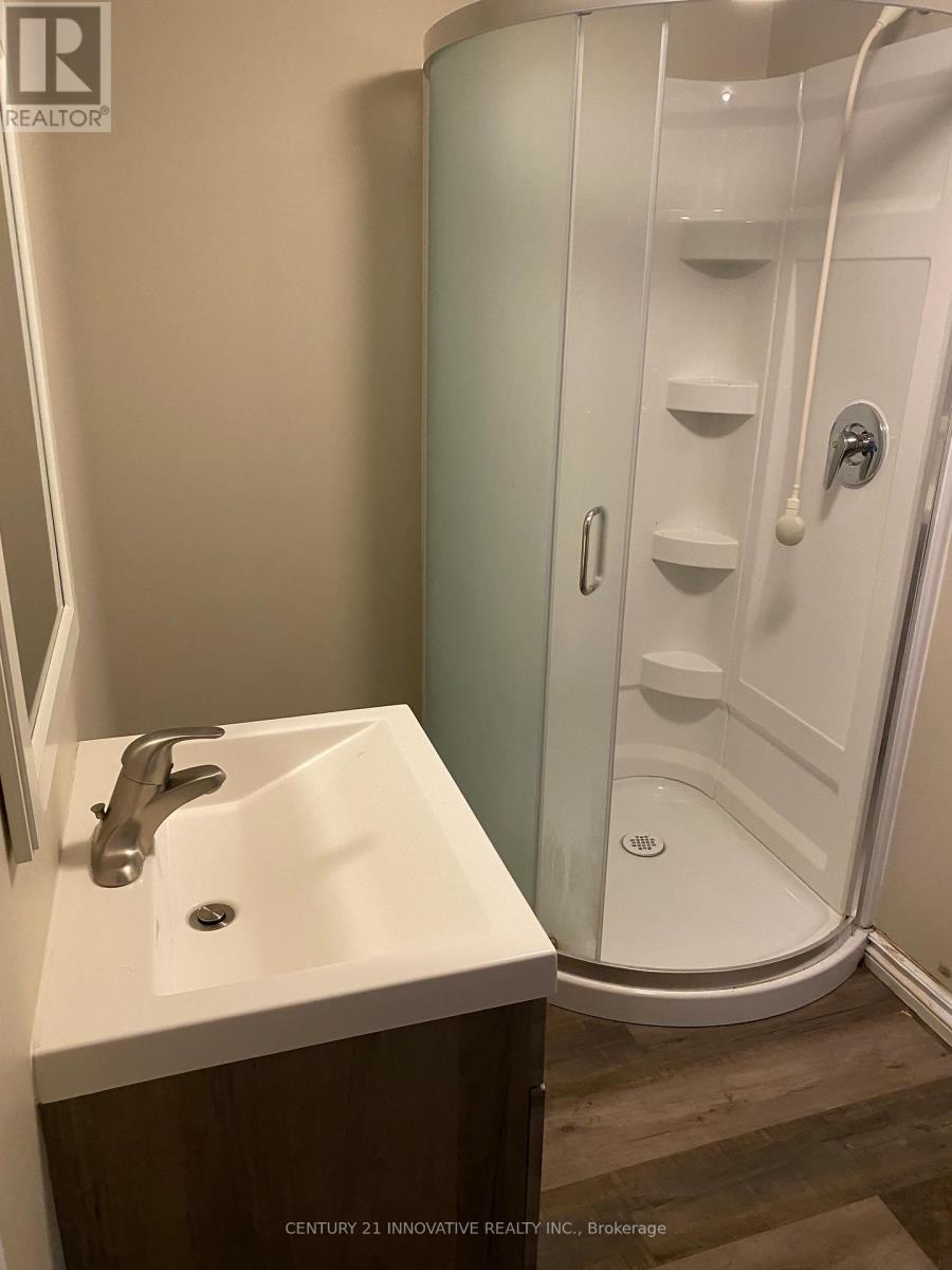 Bsmt - 223 Erindale Avenue, Hamilton, Ontario  L8K 4R6 - Photo 9 - X12617084