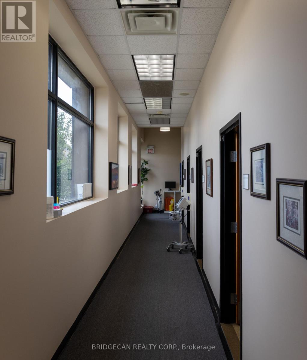 365 Colborne Street, Brantford, Ontario  N3S 3N2 - Photo 16 - X12617100