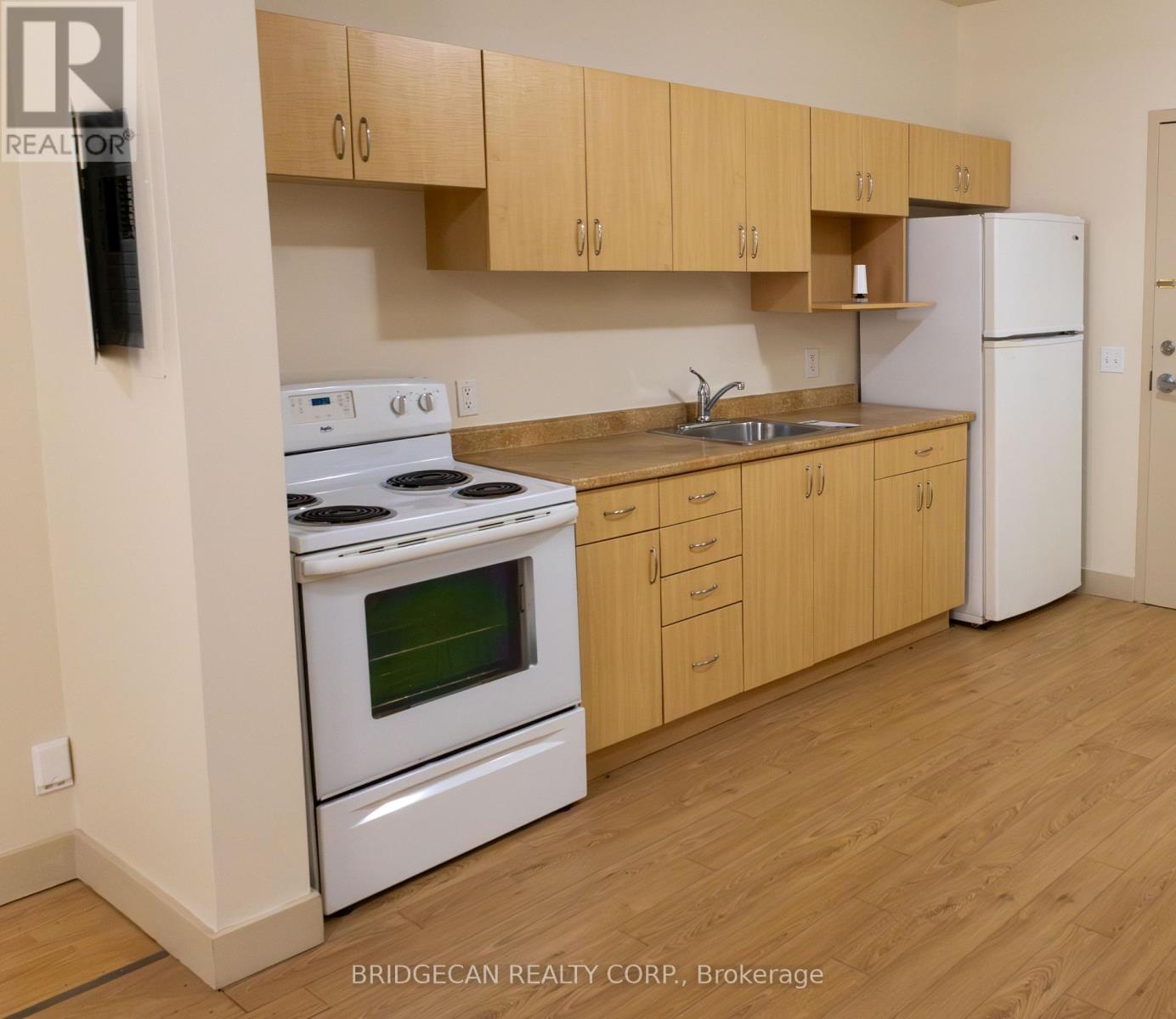 365 Colborne Street, Brantford, Ontario  N3S 3N2 - Photo 36 - X12617100