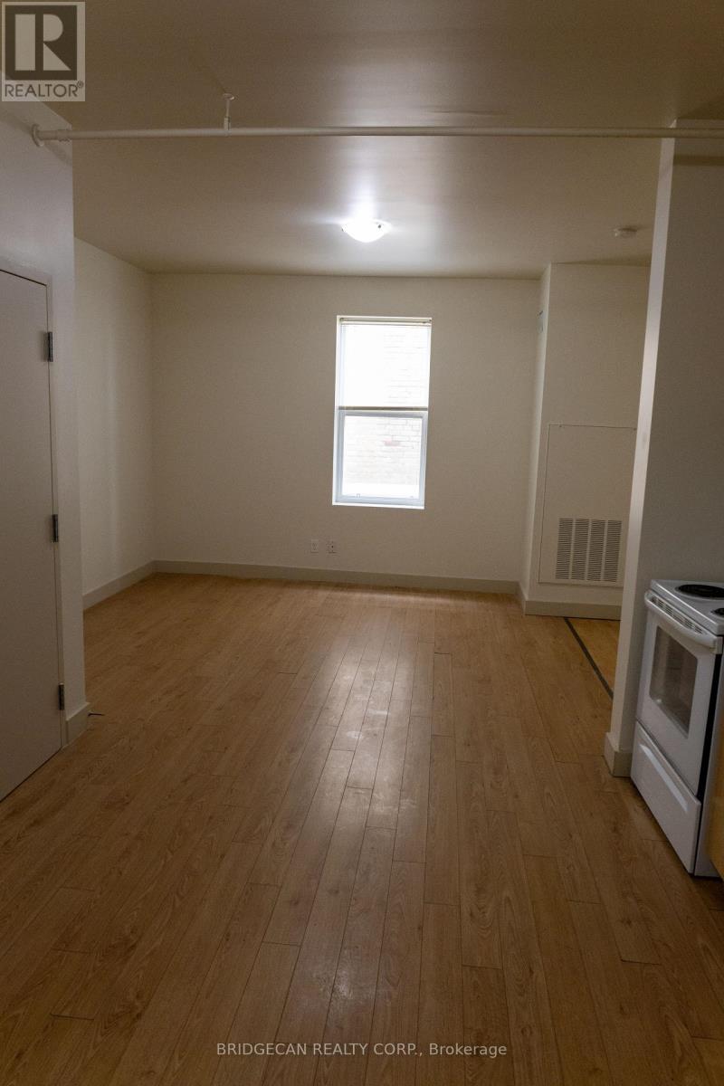 365 Colborne Street, Brantford, Ontario  N3S 3N2 - Photo 37 - X12617100