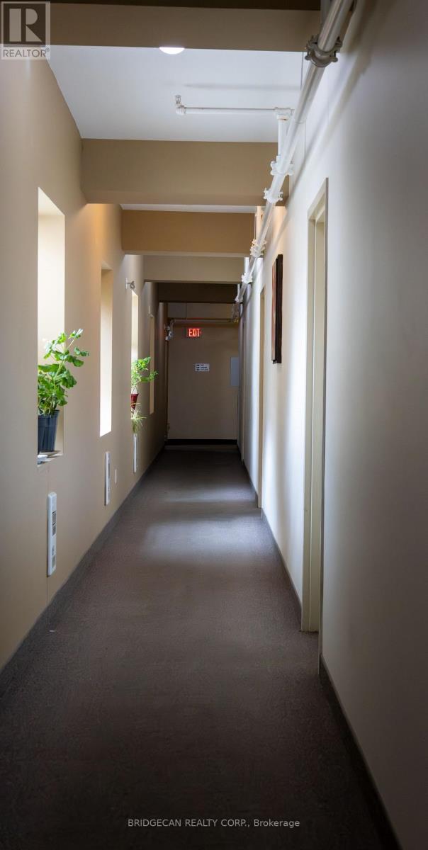 365 Colborne Street, Brantford, Ontario  N3S 3N2 - Photo 38 - X12617100