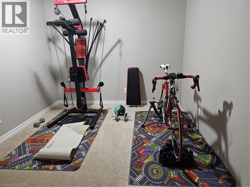 369 Haller Place, Haldimand County, Ontario N3W 1E2 - Photo 29 - 40793205