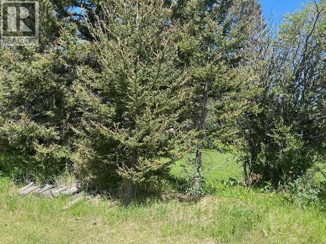 7, 33051 Range Road 60, Rural Mountain View County, Alberta T0M 1X0 - Photo 7 - A2239505