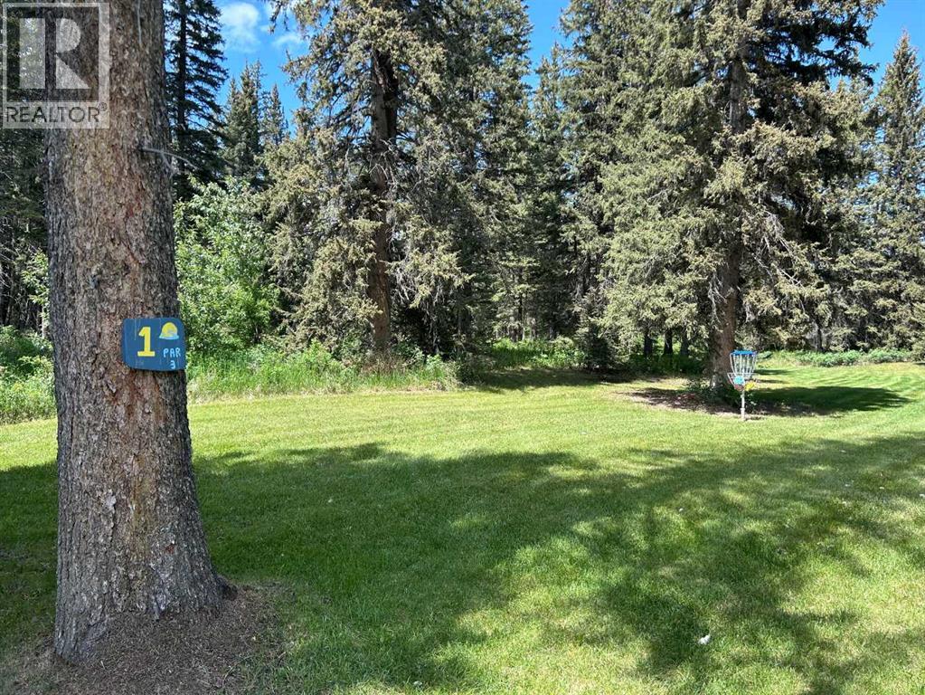 7, 33051 Range Road 60, Rural Mountain View County, Alberta T0M 1X0 - Photo 41 - A2239505