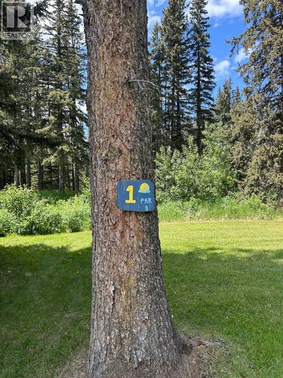 27, 33051 Range Road 60, Rural Mountain View County, Alberta  T0M 1X0 - Photo 40 - A2235454