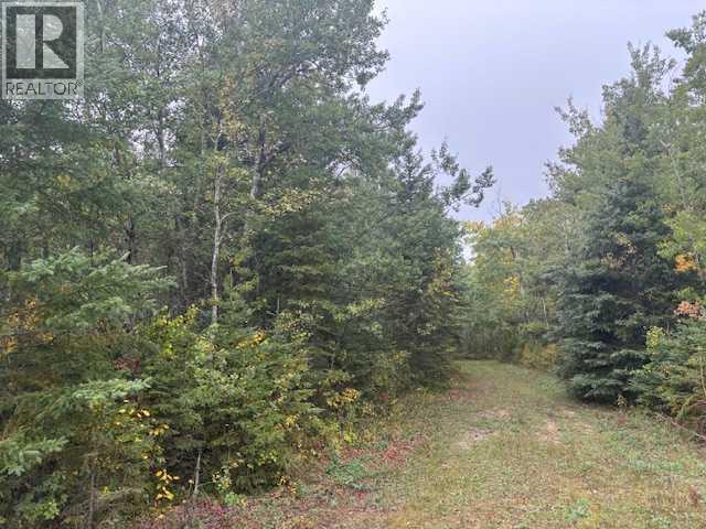 Ne 35-54-21 W3, Rural, Saskatchewan  S0M 1Y0 - Photo 3 - A2267950