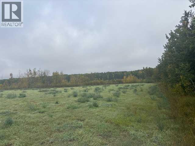 Ne 35-54-21 W3, Rural, Saskatchewan  S0M 1Y0 - Photo 8 - A2267950