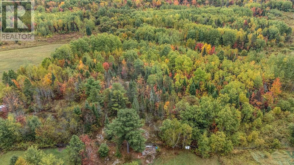 597 Dokis Road, Monetville, Ontario  P0M 2K0 - Photo 46 - 2124912