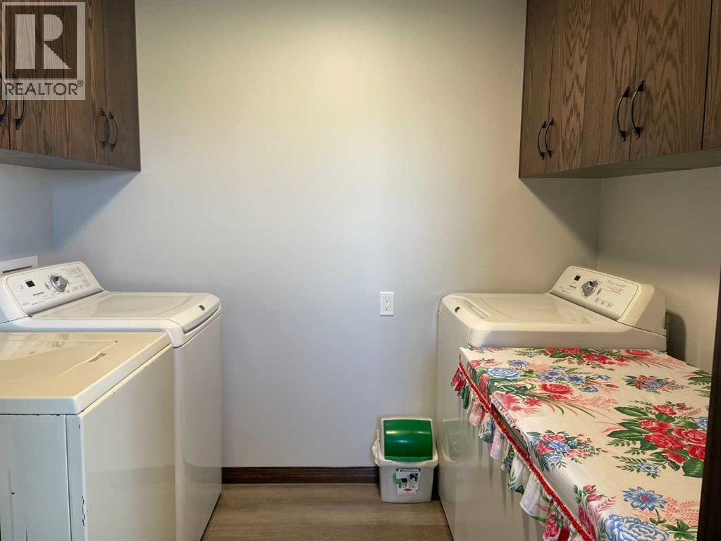 131010 Range Road 163, Vauxhall, Alberta  T0K 2K0 - Photo 12 - A2247897