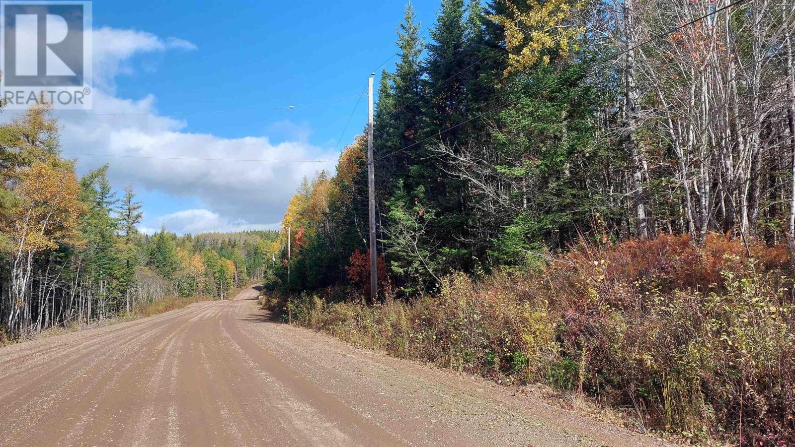 75 Evanston Rd, Cleveland, Nova Scotia B0E 1J0 - Photo 4 - 202518843