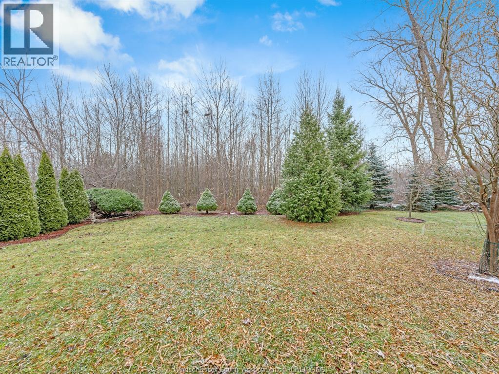 1126 Banwell Road Unit# Lower, Windsor, Ontario N8P 1J2 - Photo 23 - 25031517