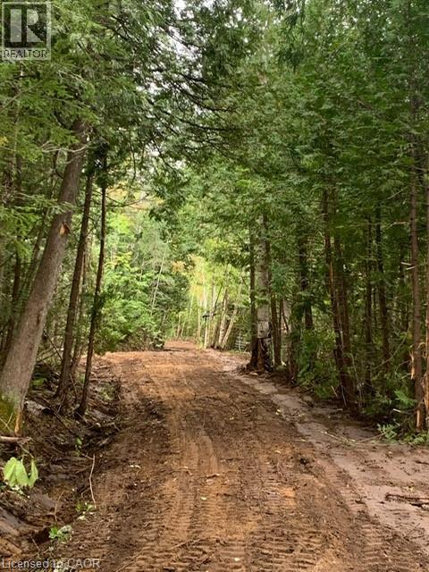 2724 River Road, Ompah, Ontario K0H 2J0 - Photo 47 - 40772021