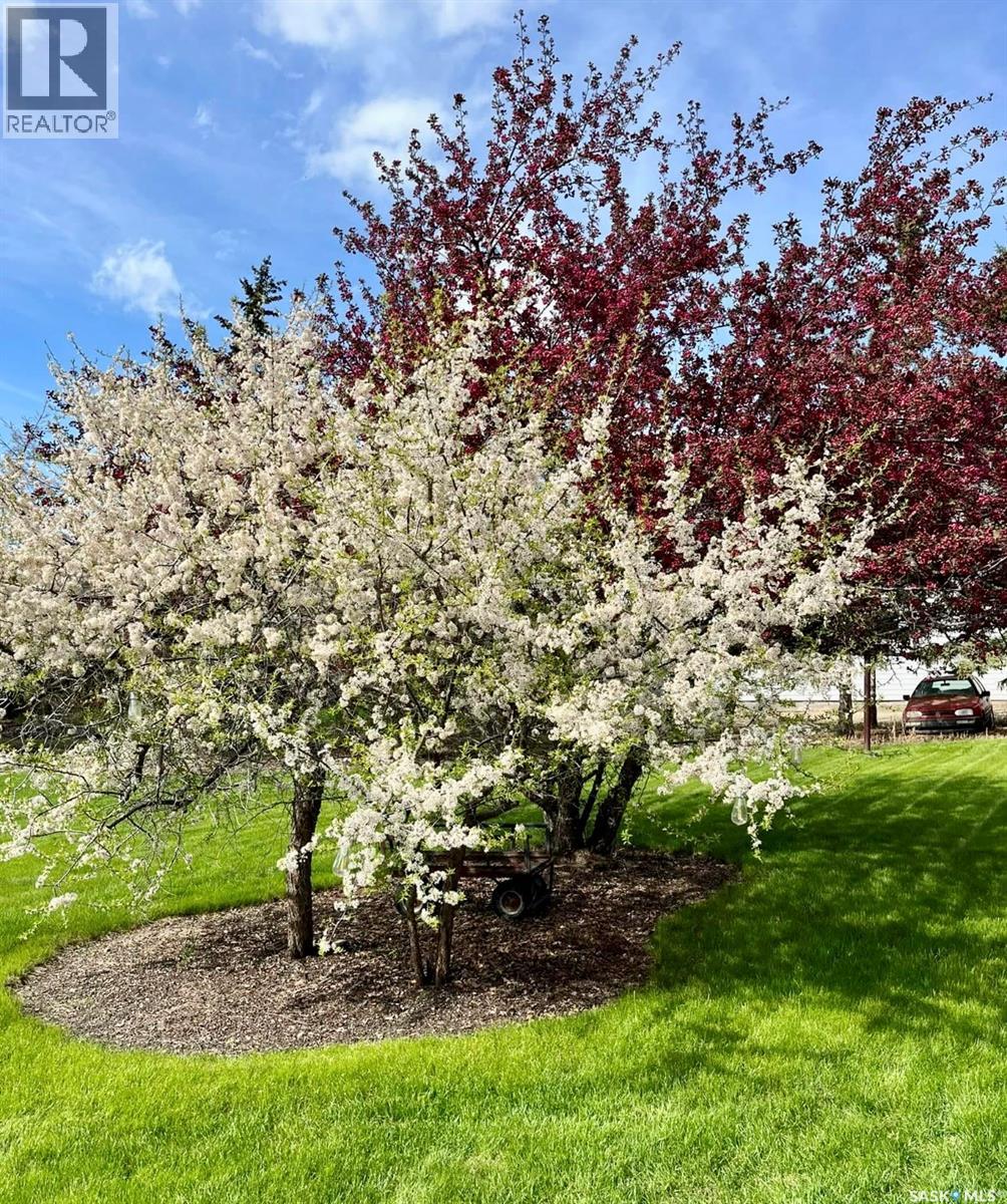 20 4th Avenue E, Neilburg, Saskatchewan  S0M 2C0 - Photo 37 - SK025441