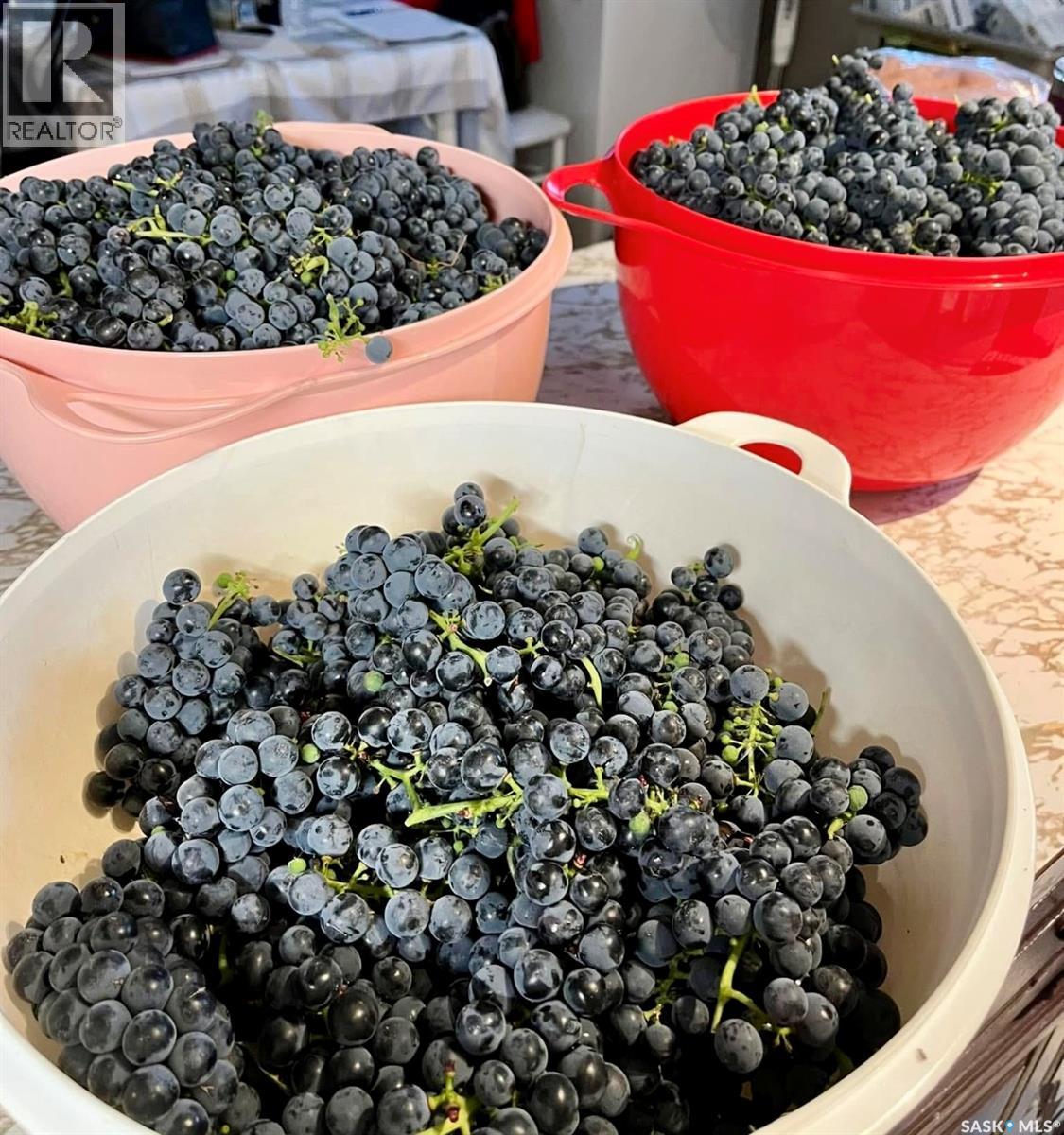 20 4th Avenue E, Neilburg, Saskatchewan  S0M 2C0 - Photo 41 - SK025441