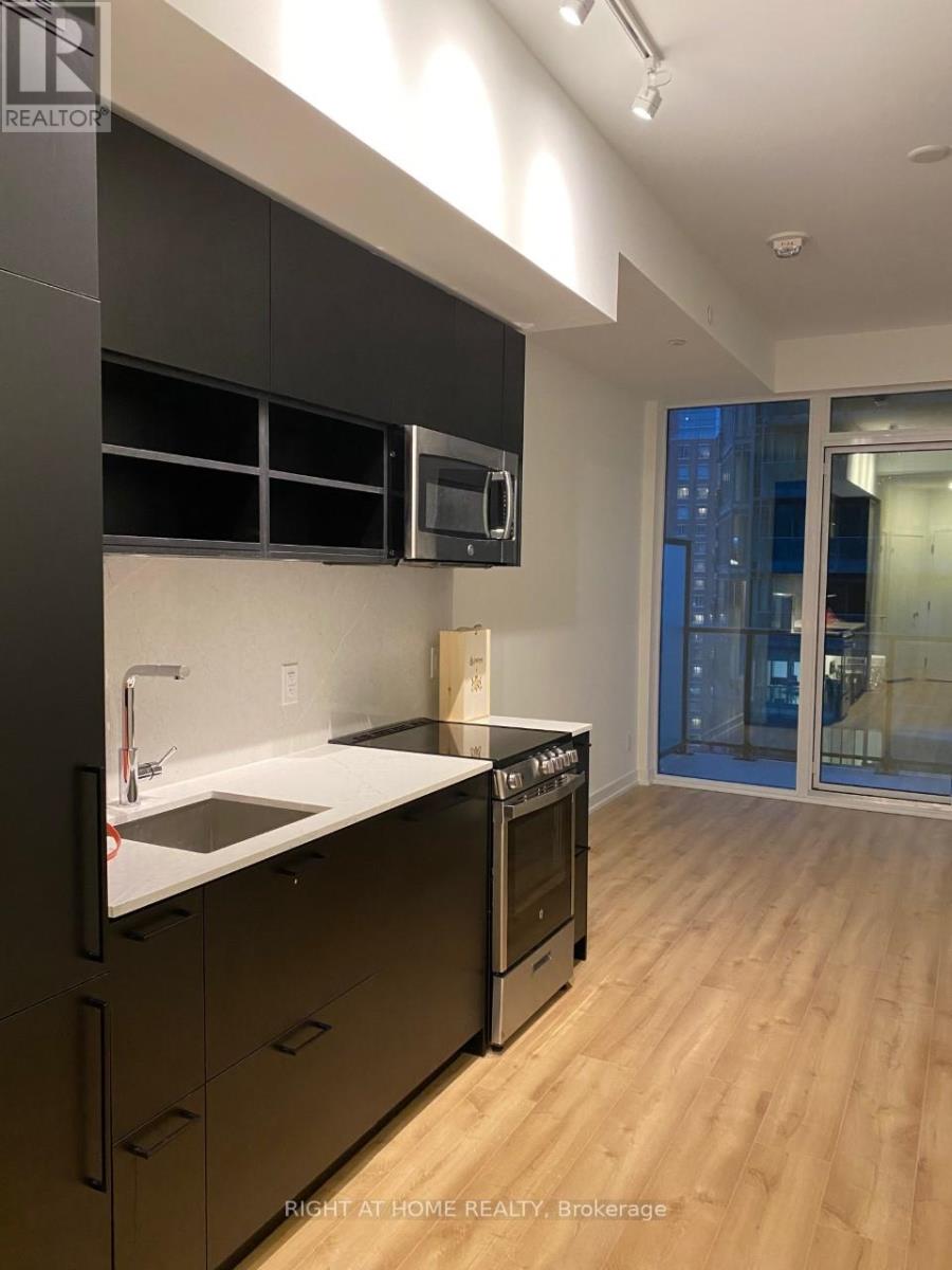 1508 - 135 East Liberty Street, Toronto, Ontario  M6K 3K4 - Photo 2 - C12617442