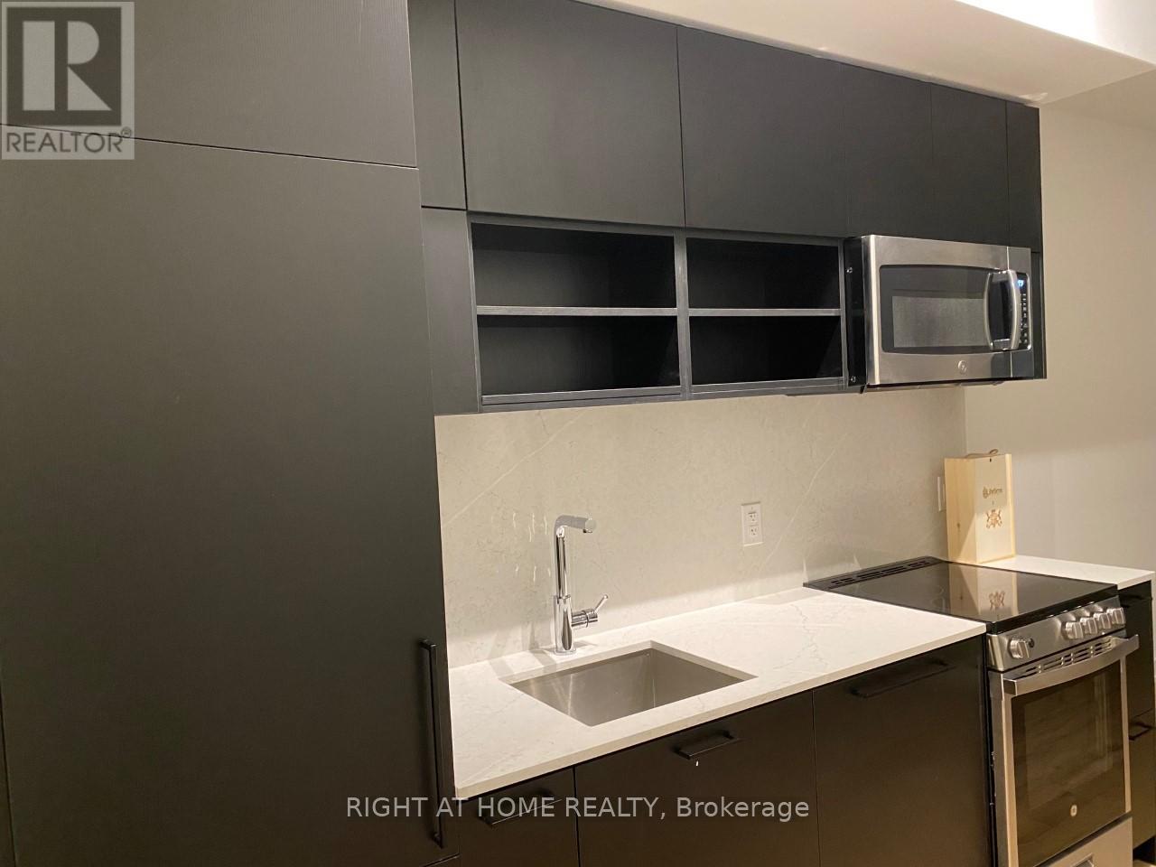 1508 - 135 East Liberty Street, Toronto, Ontario  M6K 3K4 - Photo 3 - C12617442