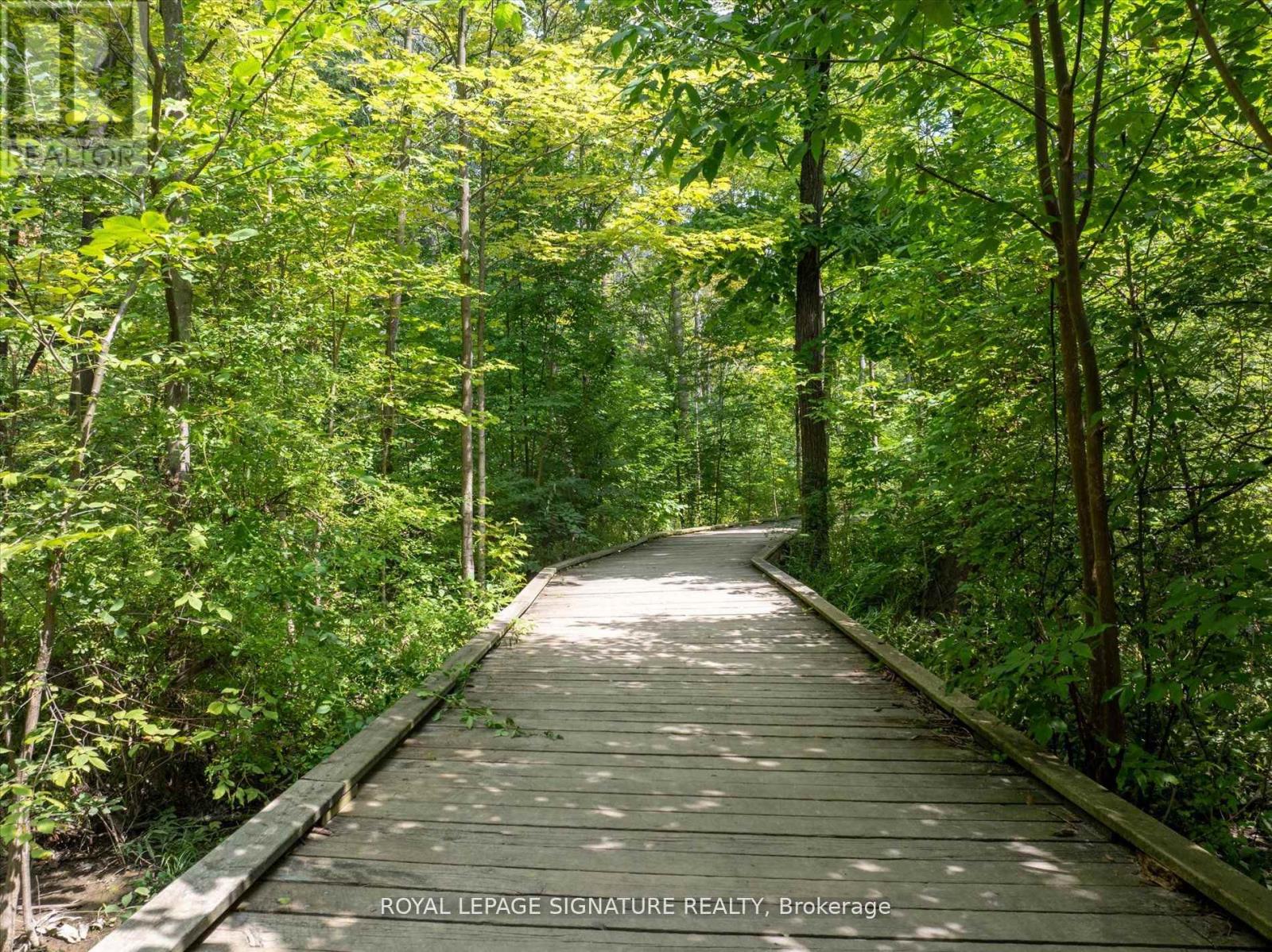 3417 Sanderling Crescent, Mississauga, Ontario  L5L 3P4 - Photo 39 - W12096685