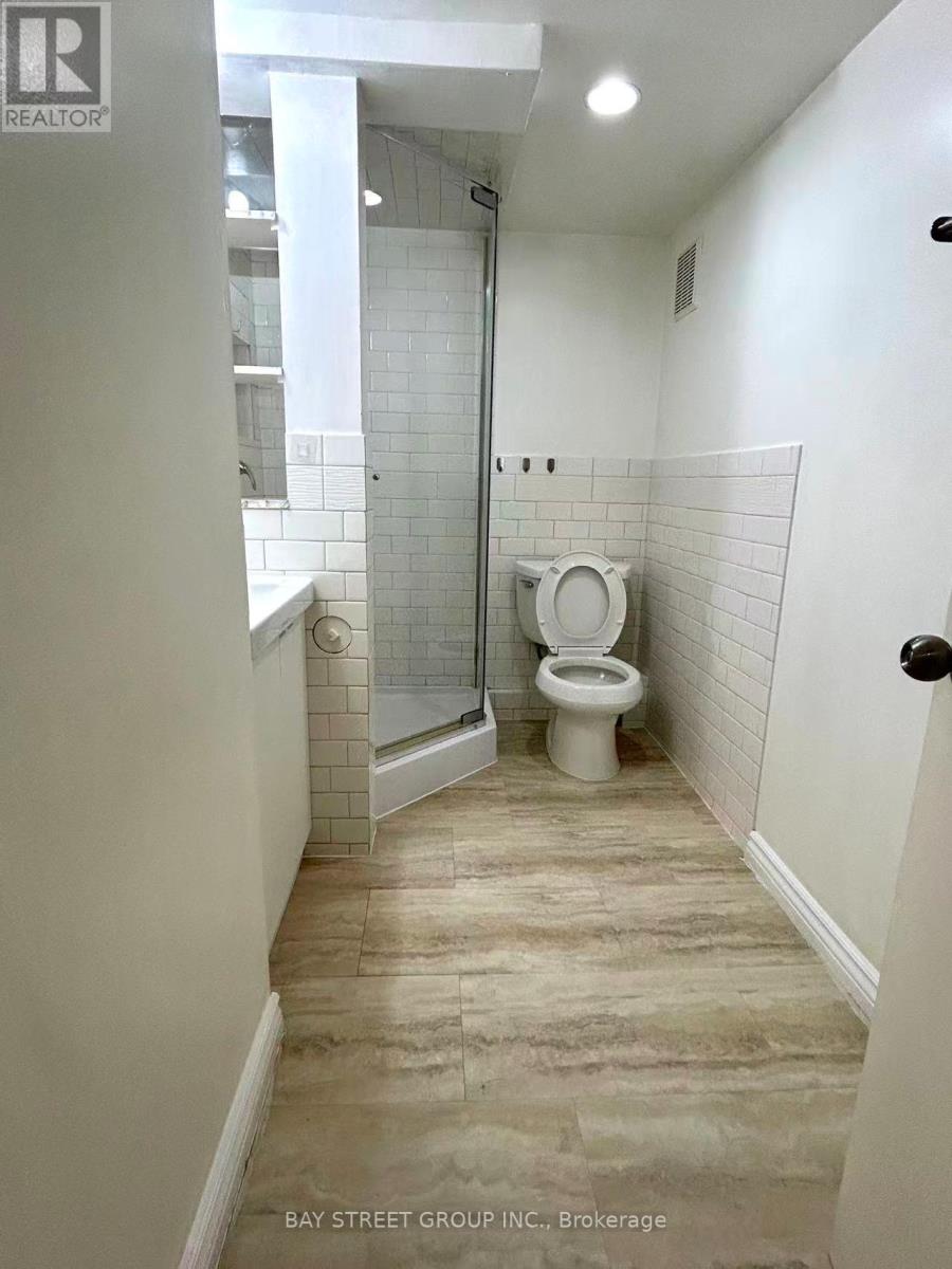 Basement - 368 Browndale Crescent, Richmond Hill, Ontario  L4C 3J4 - Photo 12 - N12617834