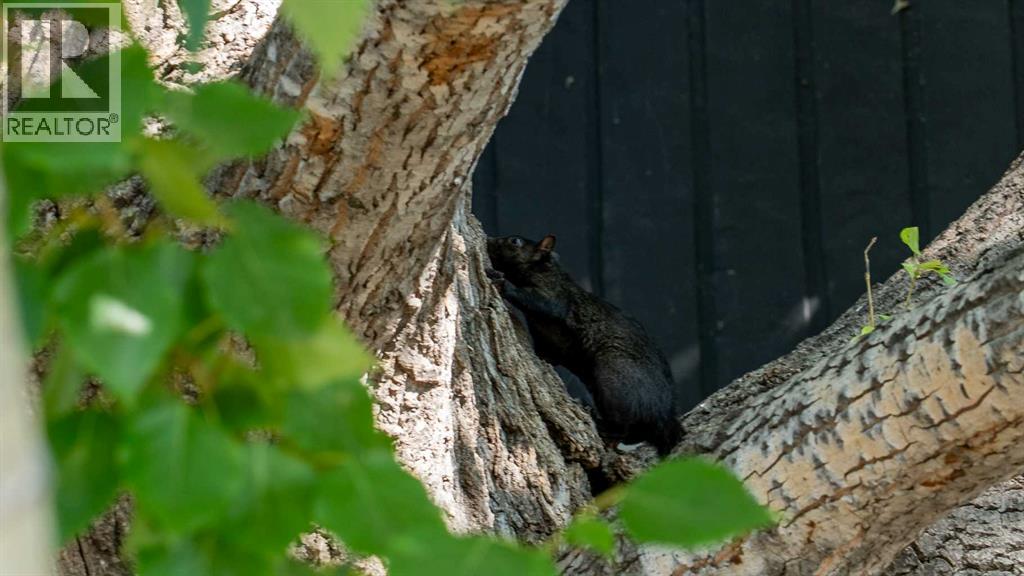 124 Lynnbrook Road Se, Calgary, Alberta  T2C 1S6 - Photo 49 - A2260709