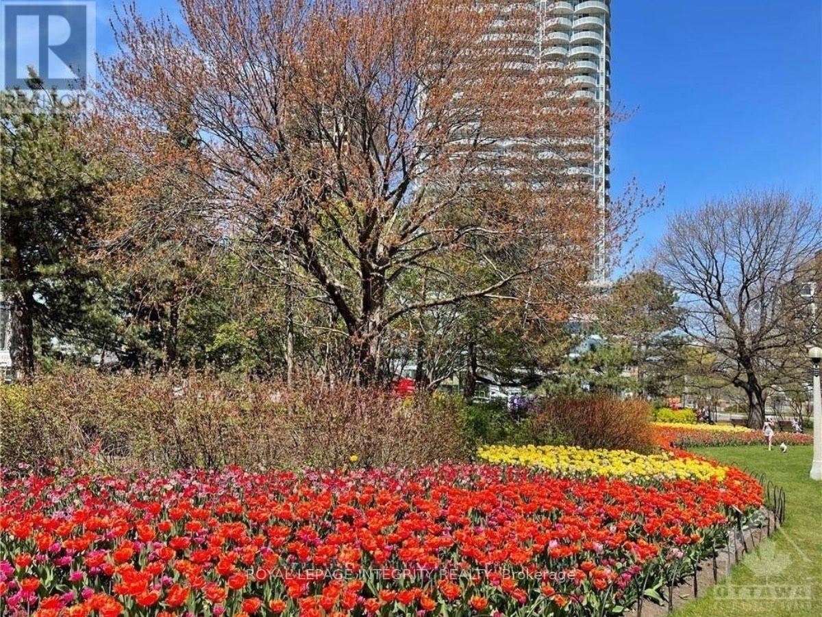 3505 - 805 Carling Avenue, Ottawa, Ontario K1S 5W9 - Photo 40 - X12580844