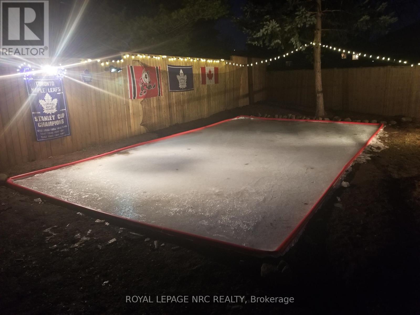 4 Cindy Court, Grimsby, Ontario  L3M 4N9 - Photo 48 - X12618638