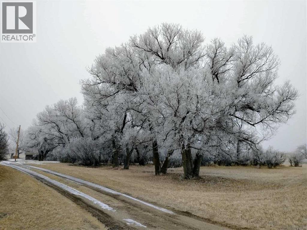 153009 Rr 274, Rural Willow Creek No. 26, Alberta  T0L 0T0 - Photo 39 - A2269826