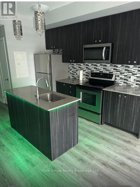 71 - 10 Palace Street, Kitchener, Ontario  N2E 0J3 - Photo 2 - X12482119