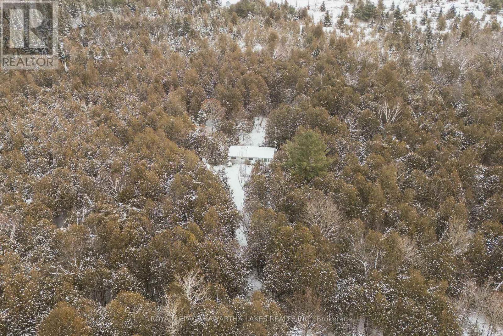 38 Fell Station Drive, Kawartha Lakes, Ontario K0M 1N0 - Photo 2 - X12625348