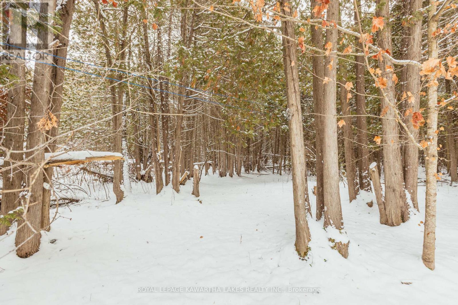 38 Fell Station Drive, Kawartha Lakes, Ontario K0M 1N0 - Photo 33 - X12625348