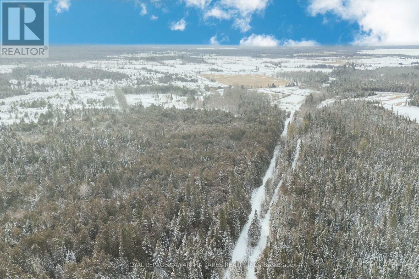 38 Fell Station Drive, Kawartha Lakes, Ontario K0M 1N0 - Photo 4 - X12625348