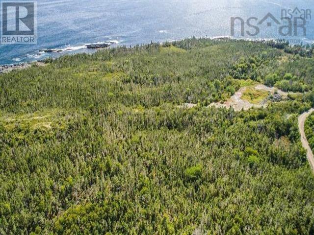 Lot 24 Herring Point Road, Blandford, Nova Scotia B0J 1T0 - Photo 11 - 202500870