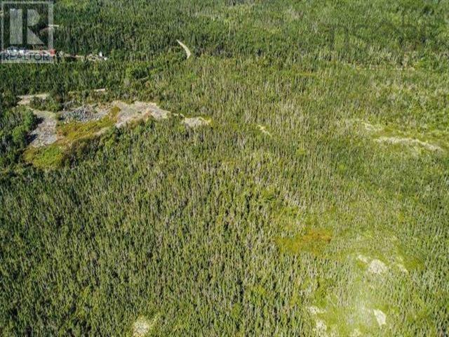 Lot 24 Herring Point Road, Blandford, Nova Scotia B0J 1T0 - Photo 12 - 202500870