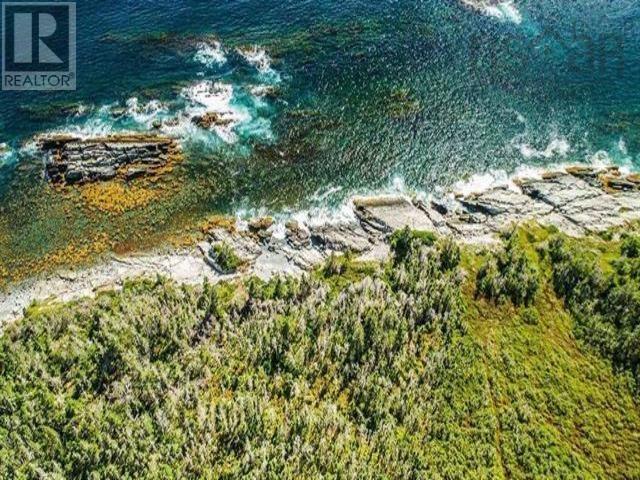 Lot 24 Herring Point Road, Blandford, Nova Scotia B0J 1T0 - Photo 4 - 202500870