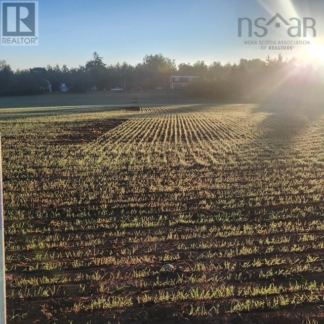 Lot 2024 Maple Ridge Road, Lower Wolfville, Nova Scotia B4P 2R1 - Photo 8 - 202419806