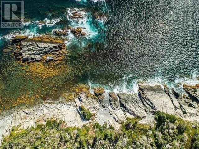 Lot 24 Herring Point Road, Blandford, Nova Scotia B0J 1T0 - Photo 7 - 202500870