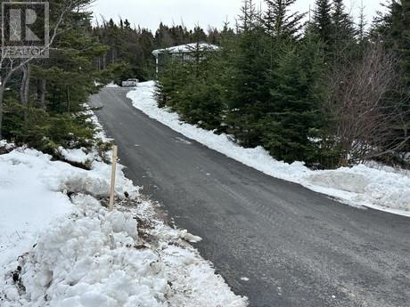 78 Main Road, New Chelsea, Newfoundland & Labrador   - Photo 13 - 1293221