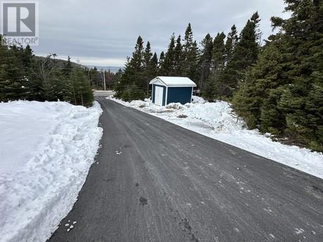 78 Main Road, New Chelsea, Newfoundland & Labrador   - Photo 9 - 1293221