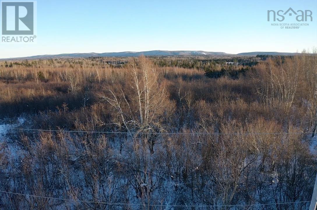 Acreage Hunter Road, Wentworth, Nova Scotia B0M 1Z0 - Photo 8 - 202529127