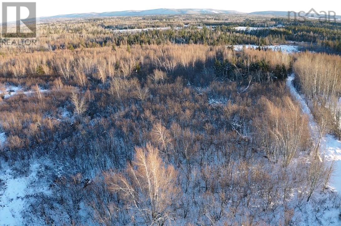 Acreage Hunter Road, Wentworth, Nova Scotia B0M 1Z0 - Photo 6 - 202529127