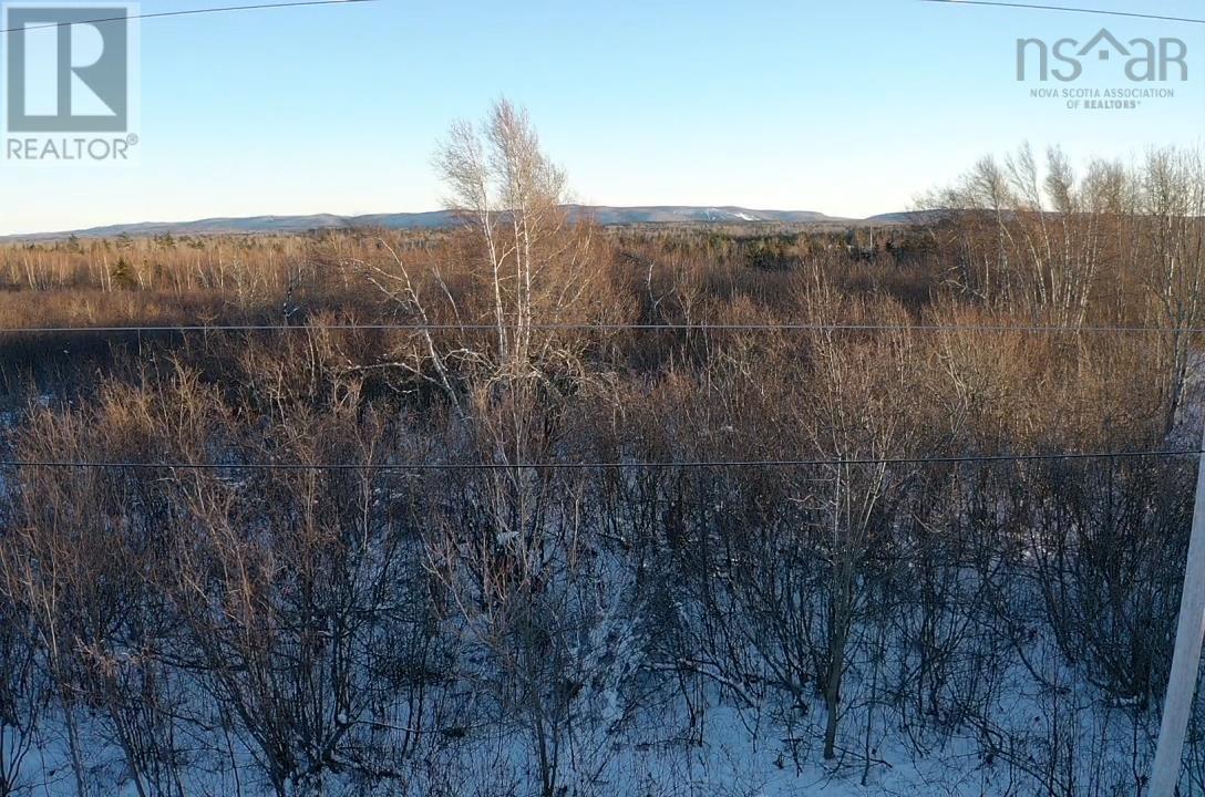 Acreage Hunter Road, Wentworth, Nova Scotia B0M 1Z0 - Photo 9 - 202529127