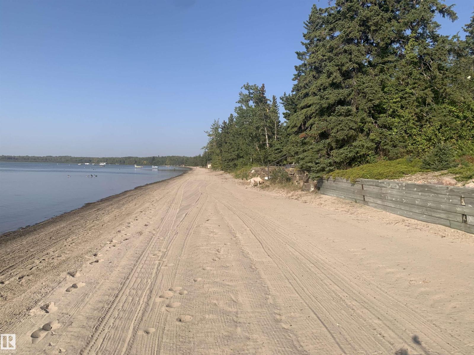 804a 1 Av, Rural Wetaskiwin County, Alberta  T0C 1X0 - Photo 19 - E4457686