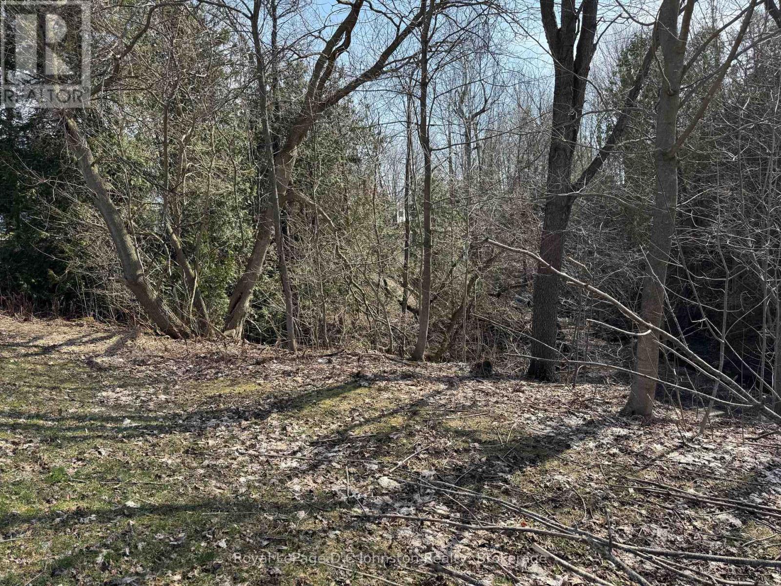 0 Clarendon Street E, Saugeen Shores, Ontario N0H 2L0 - Photo 5 - X12626770