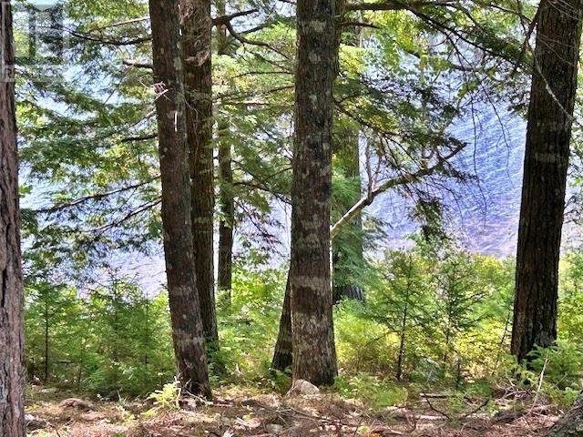 1235 Woodstock Road, Clearland, Nova Scotia  B0J 2E0 - Photo 21 - 202521413