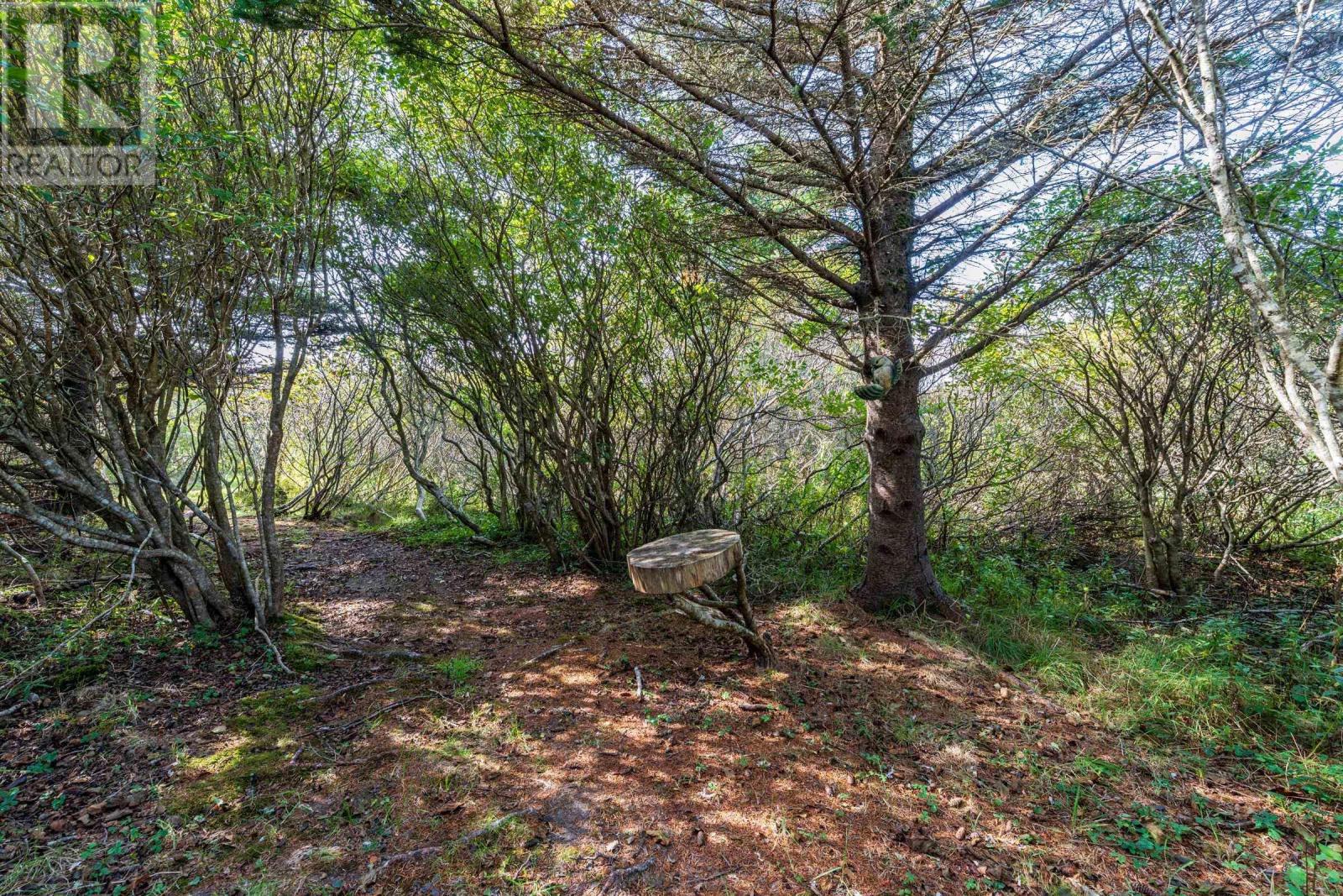 223-225 Forest Street, Yarmouth, Nova Scotia B5A 5H4 - Photo 48 - 202526228