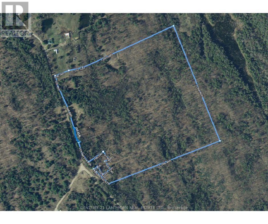 885 Cleveland Road, Tudor And Cashel (Tudor Ward), Ontario  K0K 1Y0 - Photo 13 - X12110014