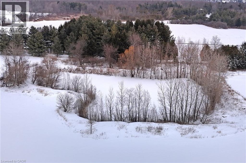 485 Concession 5 Road E, Waterdown, Ontario  L8B 0W8 - Photo 49 - 40778472