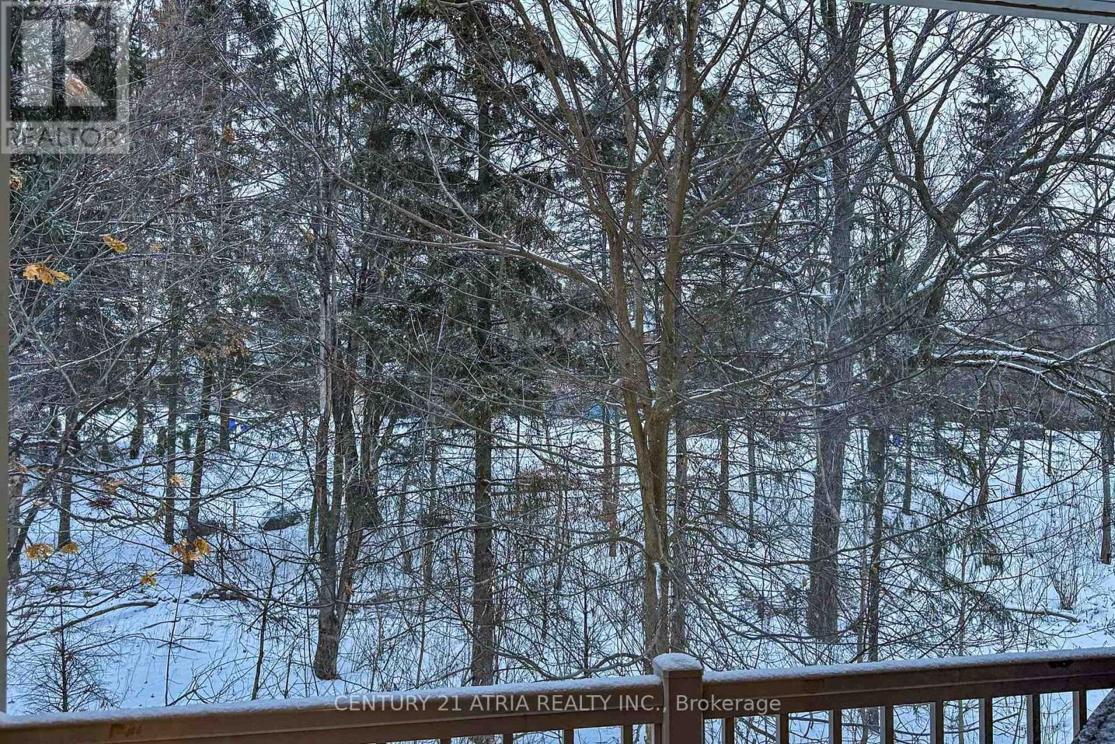 778 Harry Syratt Avenue, Newmarket, Ontario L3X 0A3 - Photo 22 - N12626840