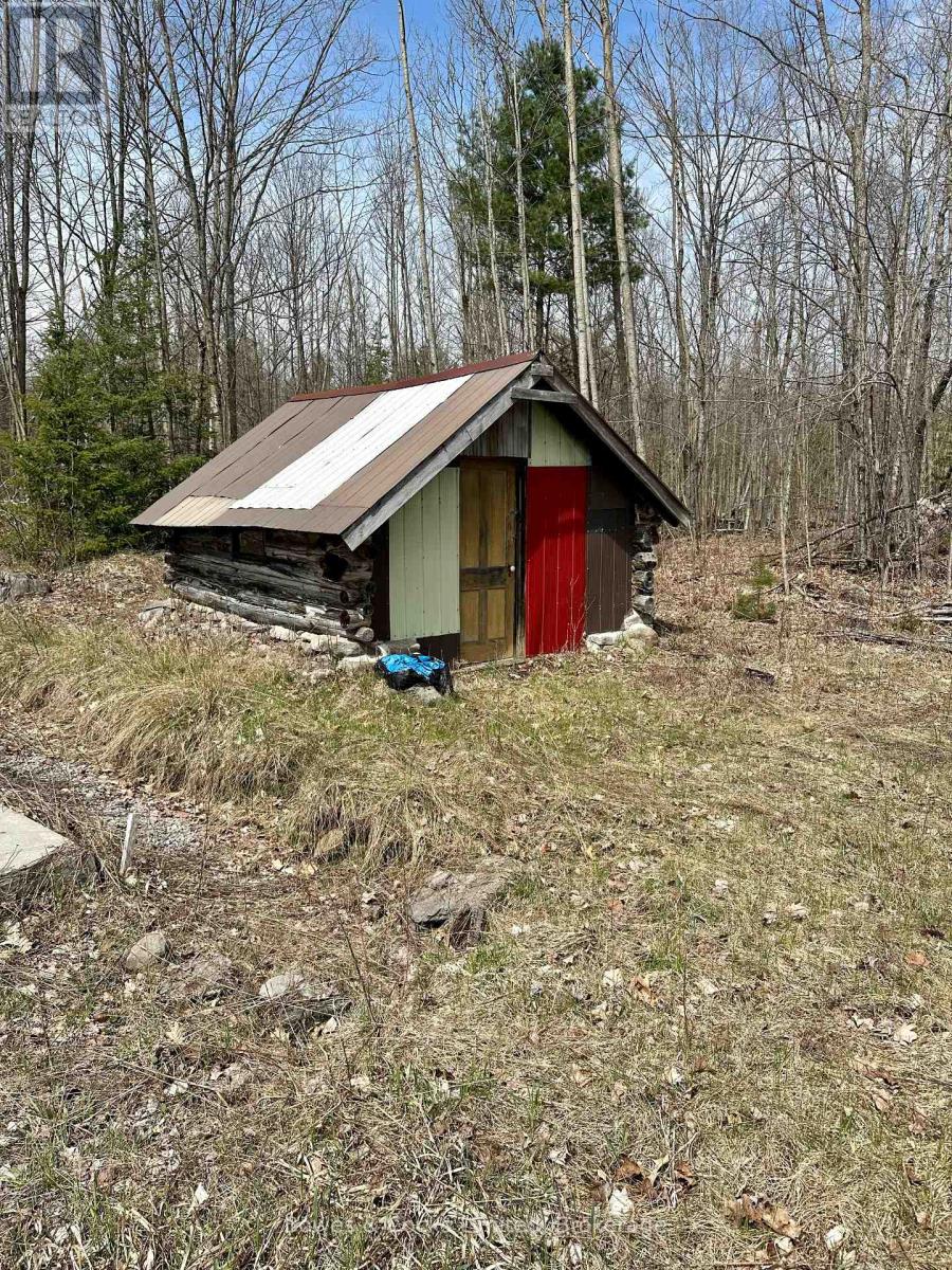 2981 County Road 44, Havelock-Belmont-Methuen, Ontario  K0L 1Z0 - Photo 5 - X12626982