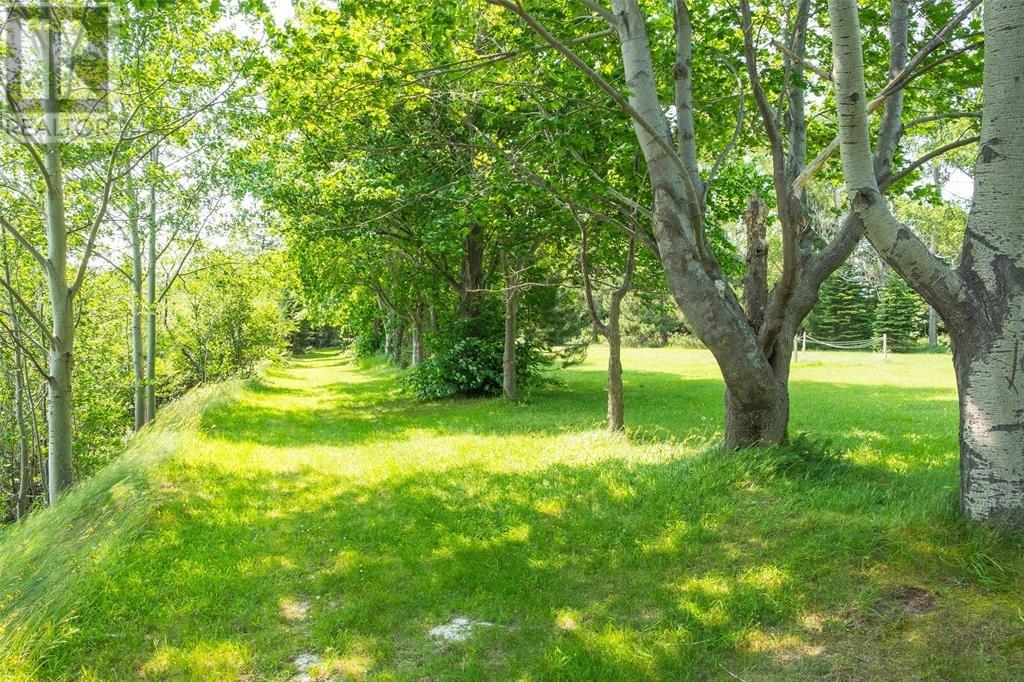 143 Seaview Drive, Swift Current, Newfoundland & Labrador  A0E 2W0 - Photo 7 - 1293224