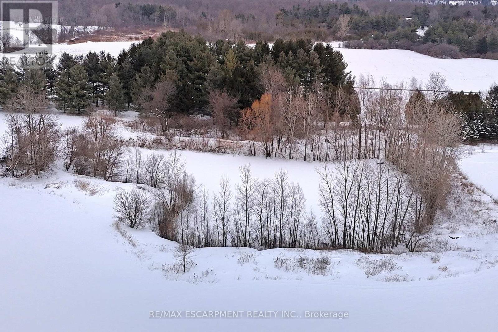 485 Concession 5 Road E, Hamilton, Ontario  L8B 0W8 - Photo 49 - X12458379